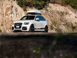 Audi SQ5 8R2 (2013 - 2017)