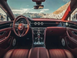 Interior Accessories