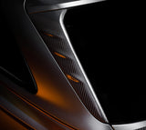 Renegade Design - Rear Window Inserts Audi RS6 C8 - Royal Body Kits