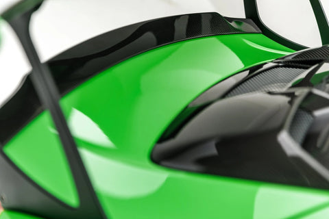 Vorsteiner - Rear Spoiler Porsche 911 991.2 GT2 RS Rear Spoiler Vorsteiner royalty-bespoke.myshopify.com 