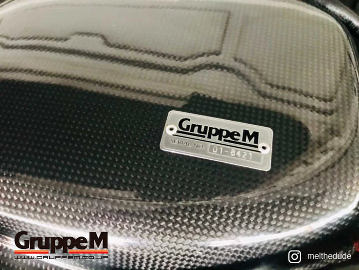 GruppeM Carbon Fiber Air Intake BMW Series 3 335i E9X (N54) Royal