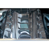 APR Performance - Engine Plenum Cover Chevrolet Corvette C8 Engine Cover APR Performance royalty-bespoke.myshopify.com 
