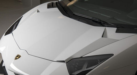 Novitec - Trunk Lamborghini Aventador S / Roadster S Trunk Novitec royalty-bespoke.myshopify.com