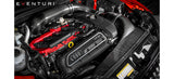 Eventuri - Air Intake System Audi RS3 8V