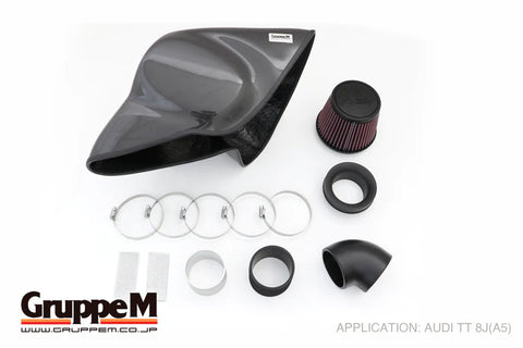 GruppeM - Carbon Fiber Air Intake Audi TT 8J Air Intake GruppeM royalty-bespoke.myshopify.com 