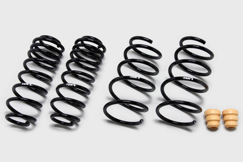 TOM'S Racing - Low Down Springs Lexus RX Suspension TOM'S Racing royalty-bespoke.myshopify.com 