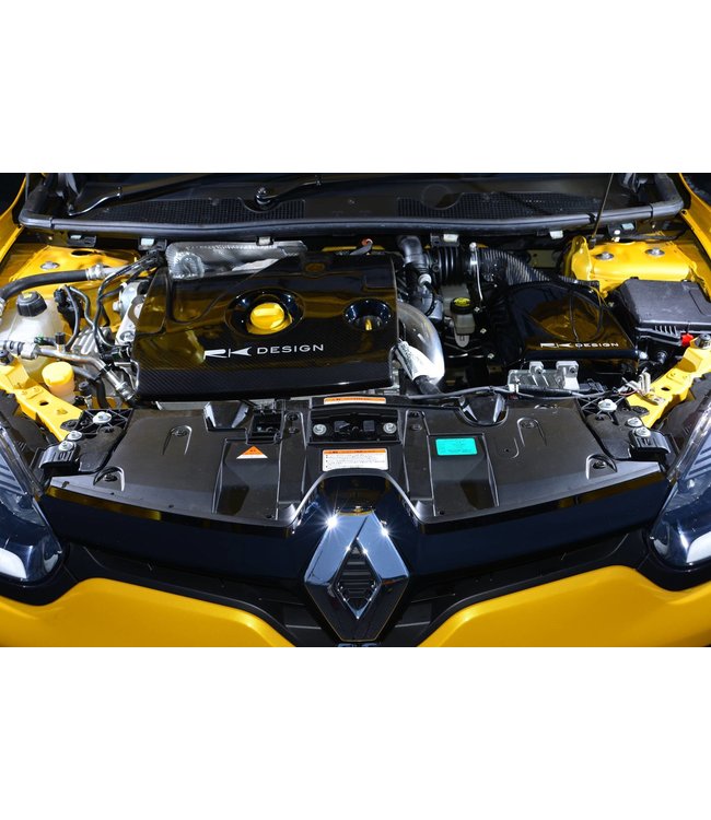 Renault R25 Engine Cover