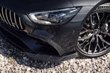 Larte Design - Front Side Bumper Cover Mercedes Benz AMG GT Coupe Front Inserts Larte Design royalty-bespoke.myshopify.com
